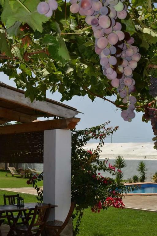 Alojamiento Rural "El Charco Del Sultan" Conil De La Frontera Luaran gambar