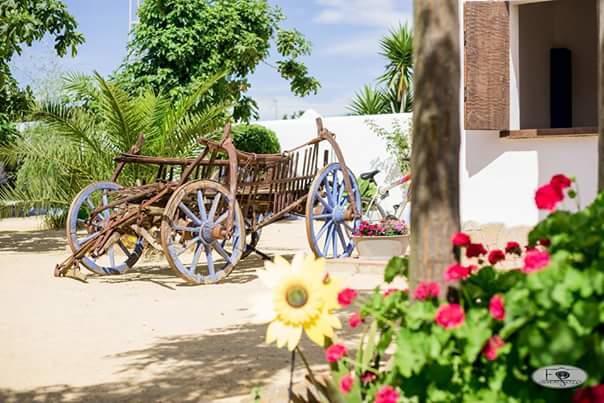 Alojamiento Rural "El Charco Del Sultan" Conil De La Frontera Luaran gambar